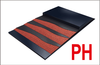 Chemical Resistant Conveyor Belts